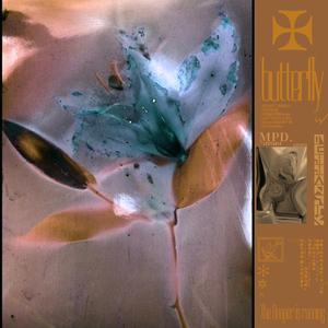 免费看裸体美女www
