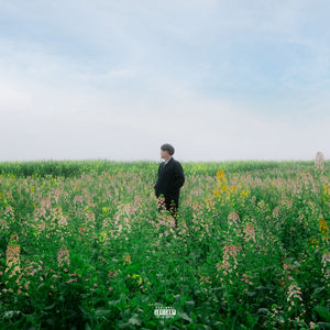 海棠威客楼凤论坛
