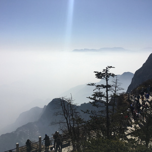 女明星的性爱视频
