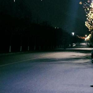 亚洲视频高清不卡在线观看
