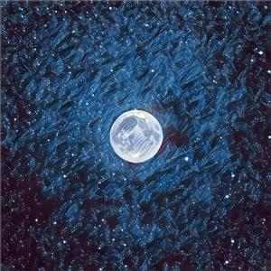 免费看美女裸体的网站
