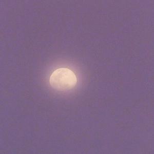 69XX女子私密按摩护理
