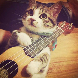 国产我和亲妺作爱69免费观看
