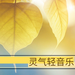 防火墙高端小鲤导航
