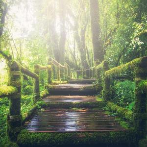 亚洲视频高清不卡在线观看
