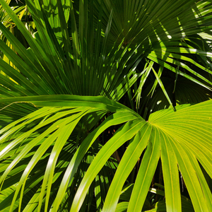 免费看裸体美女www
