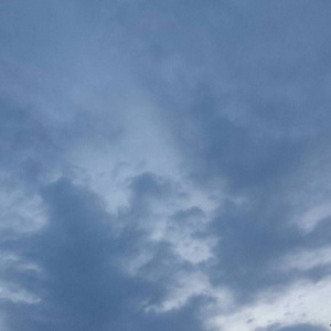 免费国产美女一级八A片
